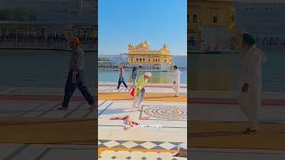 Satgur ki seva safal haiamritsar darbar sahib wmk shorts [upl. by Ecyla937]