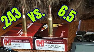 65 Creedmoor vs 243 Winchester [upl. by Nellaf333]