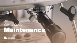 How to Clean an Espresso Machine  Perfect Coffee [upl. by Hastie]