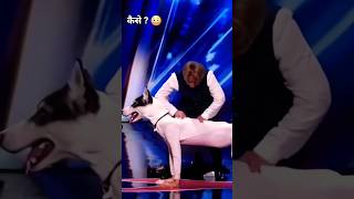 Americans Got Talent DOG 🐕 MAGIC 😱🤯 shorts trending americangottalent [upl. by Lyon147]