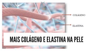 MAIS COLÁGENO E ELASTINA NA PELE  Sustent C ProCollagen  ADA TINA [upl. by Arundel]