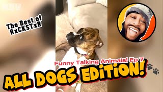 Best of RxCKSTxR Funny Talking Animal Voiceovers Compilation Ep 7 [upl. by Lore]