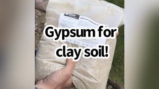 Using Gypsum to improve clay soilNOVICE GARDEN short [upl. by So120]