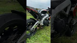 Straight Piped Aprilia Tuono V4 1100 Exhaust Sound [upl. by Hairaza]