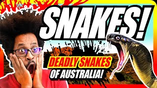 DEADLY Snakes of Australia [upl. by Aicnom]