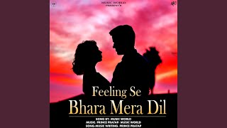 Feeling Se Bhara Mera Dil [upl. by Leanatan]