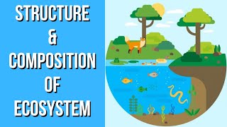 Structure amp Composition of Ecosystem  Environmental Science  EVS  Letstute [upl. by Matthieu]