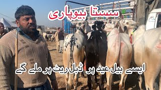 Mandra Mandi today 2024 latest update ll Part 1 ll domail mandi ll Jamil tv ll [upl. by Saiasi251]