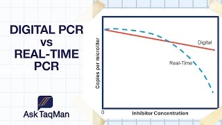 Digital PCR vs Realtime PCR  Ask TaqMan 30 [upl. by Tehc283]