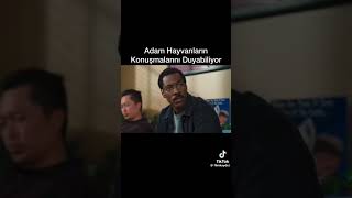 Adam hayvanların konuşmalarını duyabiliyor film movie dizi sinema komedi funny pov love [upl. by Nnovahs201]