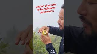 Passion Fruit ki sijinafam ga kanaba ga amamam ta haibiramo comment ta 😁 [upl. by Togram]