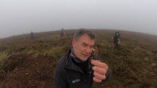 Scrub clearance at Bartinney Castle West Penwith [upl. by Nyliac]