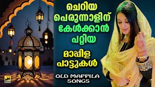 ചെറിയ പെരുന്നാൾ പാട്ടുകൾ  Cheriya Perunnal Song  Eid Song 2024  cheriya perunnal pattukal 2024 [upl. by Enail]