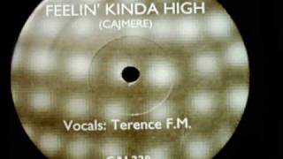 Cajmere feat Terence FM  Feelin Kinda High Mix 1 [upl. by Nodnarbal]