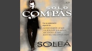 Flamenco Solea Escobilla 130 [upl. by Licko]