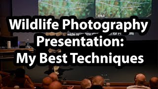 Wildlife Photography Presentation  Best Techniques [upl. by Sauls]