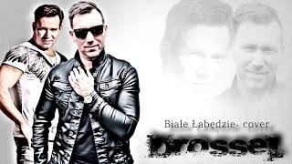 Drossel  Białe łabędzie cover DIN DONG [upl. by Milli]