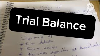 Trial balance preparationAccounting [upl. by Barnabe]