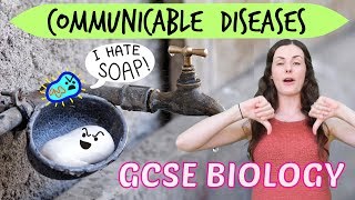 Communicable Diseases  GCSE Biology Revision for 2020 [upl. by Juditha]