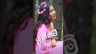 යන්නම් Yannam  Paramee Dileka  Music video trailer [upl. by Sorrows491]