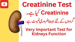 creatinine test kya hai normal range [upl. by Atterrol]