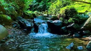 Relaxing River Sounds Mountain Stream Waterfall Gentle Stream for sleep study insomnia meditation [upl. by Mallina]