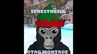 SYNESTHESIA gorilla tag montage [upl. by Eleira]