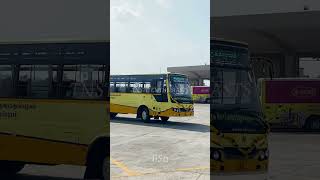 TNSTC new BS 6 bus 🔥🥳 [upl. by Solram37]