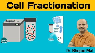 Cell Fractionation  Class 11 Biology  by Dr Bhojoo Mal [upl. by Ely528]