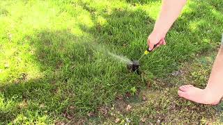 Dead Sprinkler Zone TRY THESE TIPS Before You Call Your Sprinkler Guy [upl. by Amaryllis]