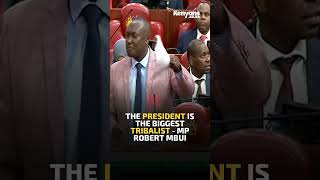 The President is the biggest tribalist  MP Robert Mbui [upl. by Cole]