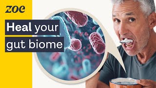 Gut microbiome testing The secrets of your gut  Profs Tim Spector and Nicola Segata [upl. by Hurff]