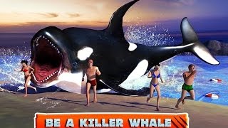 The Tragic Killer Whale Attack On Tamarie Tollison Actual Footage [upl. by Noirda594]