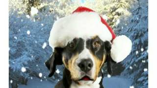 Santa Dog Sings Here We Come AWassailing [upl. by Aprile]