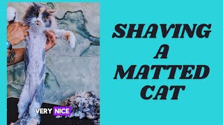 Shaving A Matted Cat [upl. by Ahsircal477]