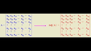 Menores complementarios y adjuntos de una matriz [upl. by Weingartner124]