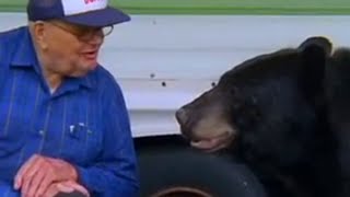 The Man Who Feeds Wild Black Bears  Bear Crime  BBC Studios [upl. by Loredo]