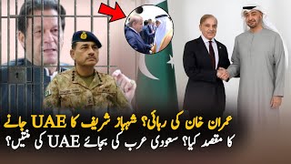 Why Shahbaz Sharif Visit UAE After Saudi Crown Prince Cancel His Visit  Pak UAE Latest News [upl. by Lalo707]