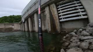 Melton Hill Dam ￼ Fishing the wall￼￼ [upl. by Marya]