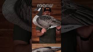 Higdon Flats Magnum Canada Goose MOTION SILHOUETTES shorts hunting decoy waterfowl [upl. by Nolur]