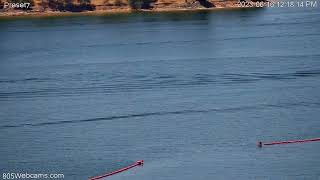 Lake Nacimiento Rooster Tail  Jet Boat  Oak Shores  Webcam Recap [upl. by Derek]