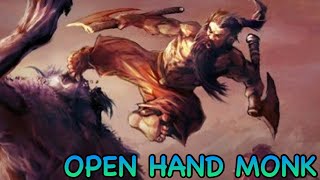 DampD5E OPEN HAND MONK GUIDE [upl. by Aeresed]