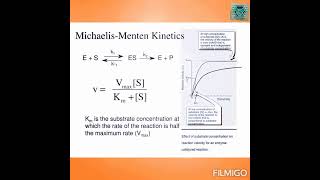 Michaelis menten equation enzyme kinetics for full video subscribe The Academia [upl. by Geri]