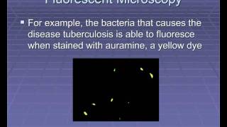 Microscopic Microbiology Part 2 [upl. by Horacio]