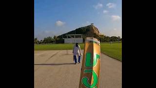 BATTING POV Hardball Cricket 😍 cricket [upl. by Far]