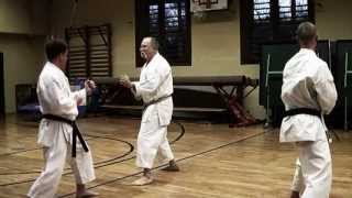 Kumite Training 1 w Sensei Gyula Büki 7th Dan Shotokan Karate [upl. by Dyanna919]