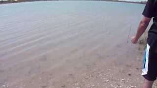 Blue Crab Fishing Matagorda Texas Summer Beach Fun [upl. by Conlin]