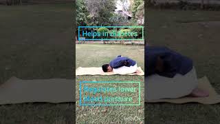 Mandukasana yoga practice  BodyMindBalance Deepstretch [upl. by Booth]