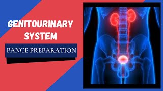 Genitourinary System PANCE Preparation [upl. by Ayamat]