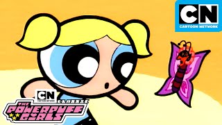 Bubble and The Evil Butterfly  Classic Powerpuff Girls Mega Compilation  Cartoon Network [upl. by Fokos]